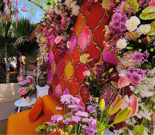 Photo from customer review